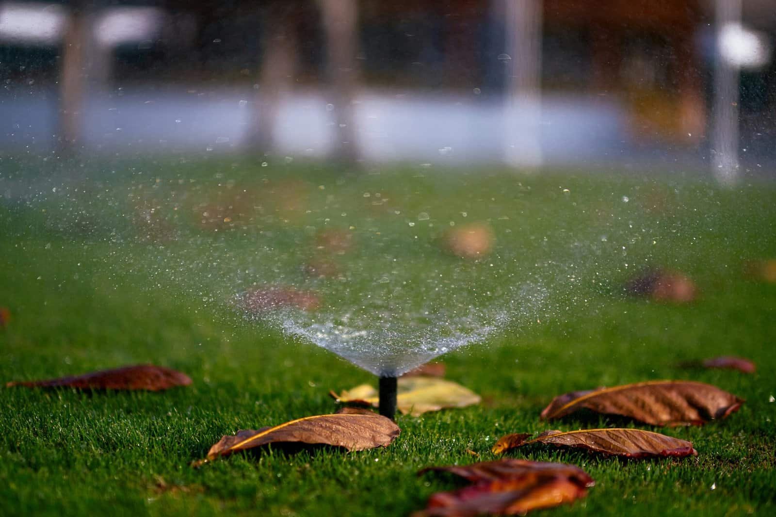 sprinklers_1
